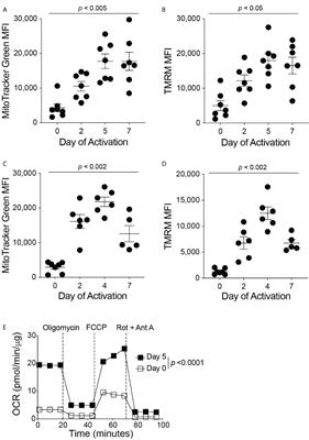 Optical Control of CD8+ T Cell Metabolism and Effector Functions